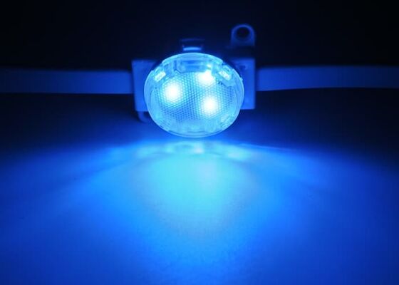 Matériau PC Durable LED Point Lumineux 30mm DC12V SMD3535 Solution d'éclairage flexible étanche IP67 pour intérieur et extérieur