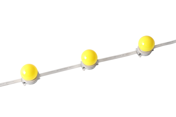 40mm IP67 étanche DC 24V Globe lumineux à LED pour l'éclairage architectural extérieur
