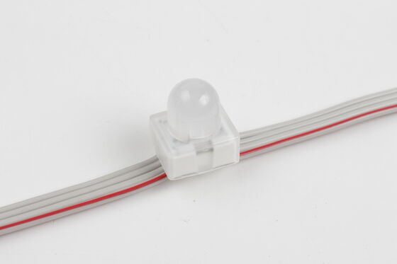12 mm RGB SMD5050 LED Point Light IP67 DC5V à travers le trou Anchor Pixel Light avec 160 angle de rayon