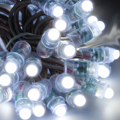 Ficelles de lumière de pixel de la décoration 0.1w 9mm RVB de croisières