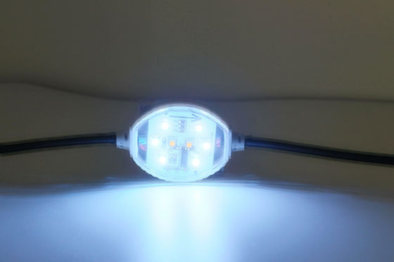 120° pixel de l'angle 1.5W 24V 60mm IP65 RGBW LED