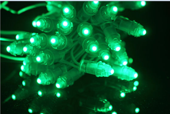 Lumière de pixel du haricot 9mm 12mm 12V LED de miracle pour annoncer la lettre