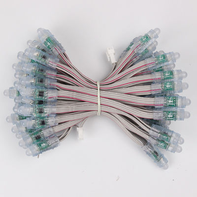 Imperméables menés de la lumière RVB de pixel du certificat WS2811 1903 de BRI du haricot 12mm RVB de miracle menés ficellent 5V 12 V 50pcs