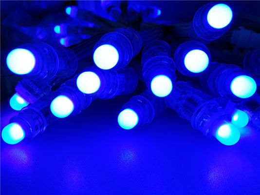 Le haricot de miracle 12mm le pixel mené que polychrome de RVB ficelle le pixel accessible du certificat RVB de BRI a mené 12mm 5v 12v
