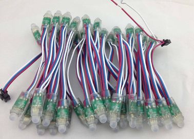 Lumière de chaîne du pixel LED du model 9823 RVB LED d'IC avec le fil ROUGE + le blanc - bleu
