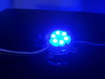 Lumière polychrome de pixel de C.C 24V RVB LED pour l'enseigne de LED, pixels de 12mm LED