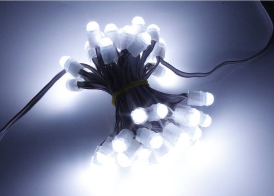 Le pixel de point du haricot 0.2w 16lm LED de miracle allument 9mm 12v IP67