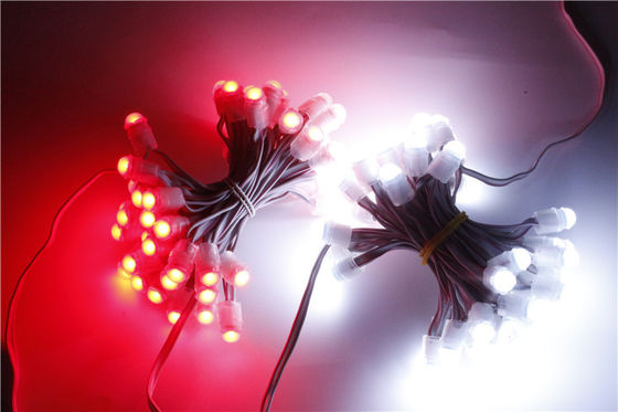 Le pixel imperméable LED de SMD2025 12V IP67 allument 0.15W 9mm